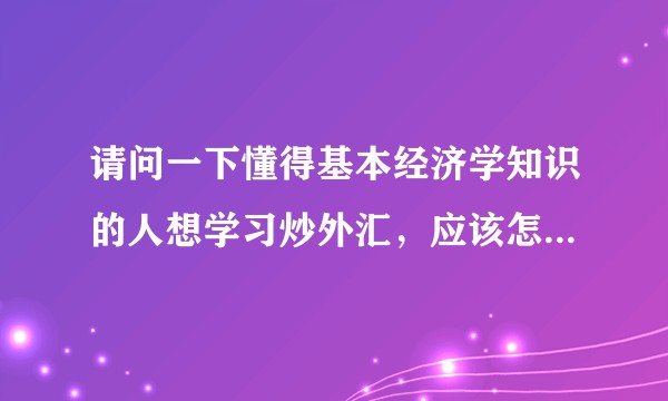 请问一下懂得基本经济学知识的人想学习炒外汇，应该怎么入手？