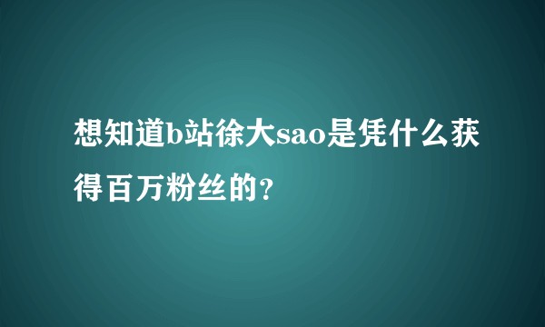 想知道b站徐大sao是凭什么获得百万粉丝的？