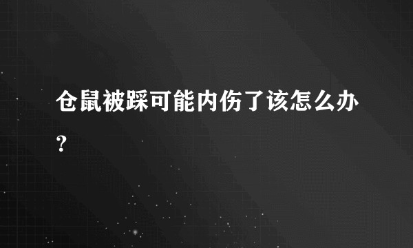 仓鼠被踩可能内伤了该怎么办？