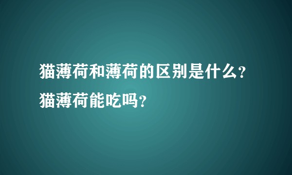 猫薄荷和薄荷的区别是什么？猫薄荷能吃吗？