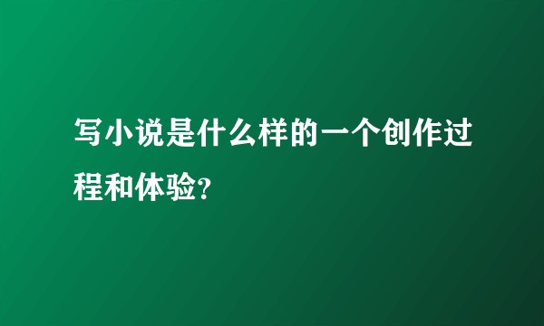 写小说是什么样的一个创作过程和体验？