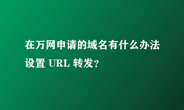 在万网申请的域名有什么办法设置 URL 转发？
