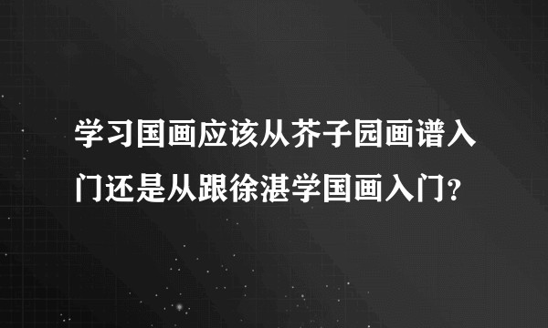 学习国画应该从芥子园画谱入门还是从跟徐湛学国画入门？