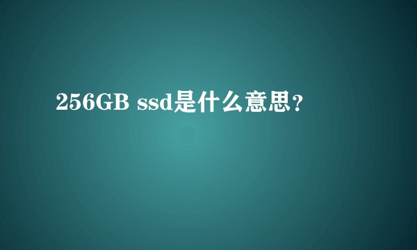 256GB ssd是什么意思?