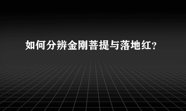 如何分辨金刚菩提与落地红？
