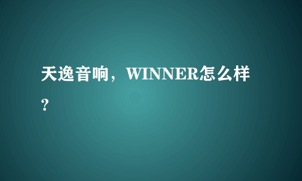 天逸音响，WINNER怎么样？
