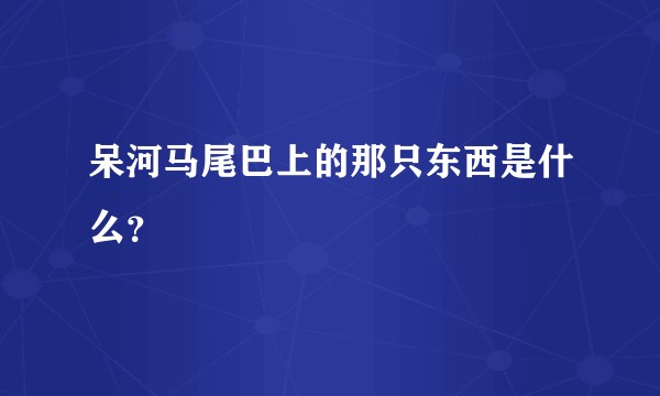 呆河马尾巴上的那只东西是什么？