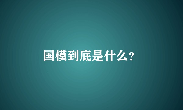 国模到底是什么？