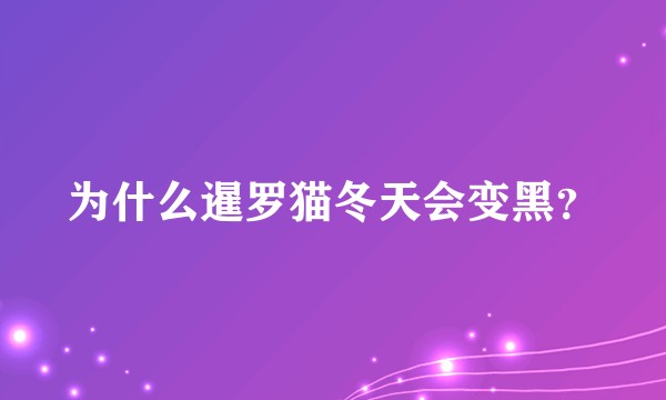 为什么暹罗猫冬天会变黑？