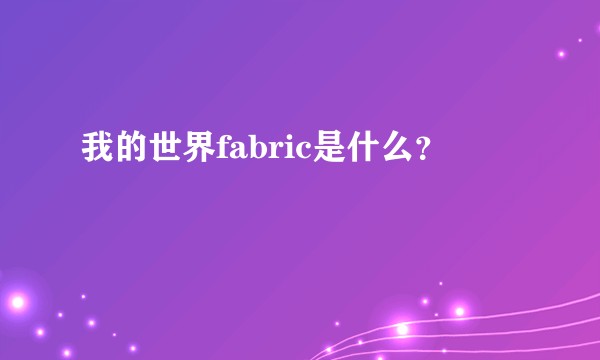 我的世界fabric是什么？