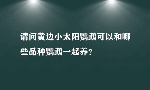 请问黄边小太阳鹦鹉可以和哪些品种鹦鹉一起养?